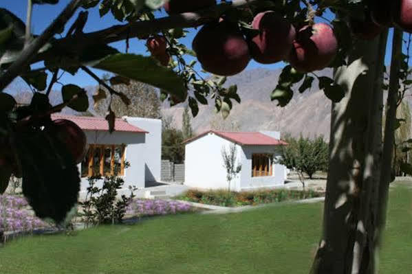 Himalayan Eco Resort Hundar Extérieur photo
